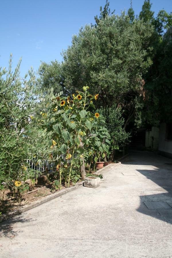 Sunflower Split Ngoại thất bức ảnh